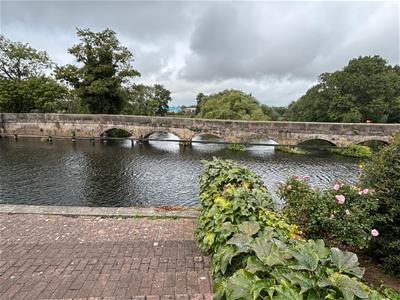 Picture 14